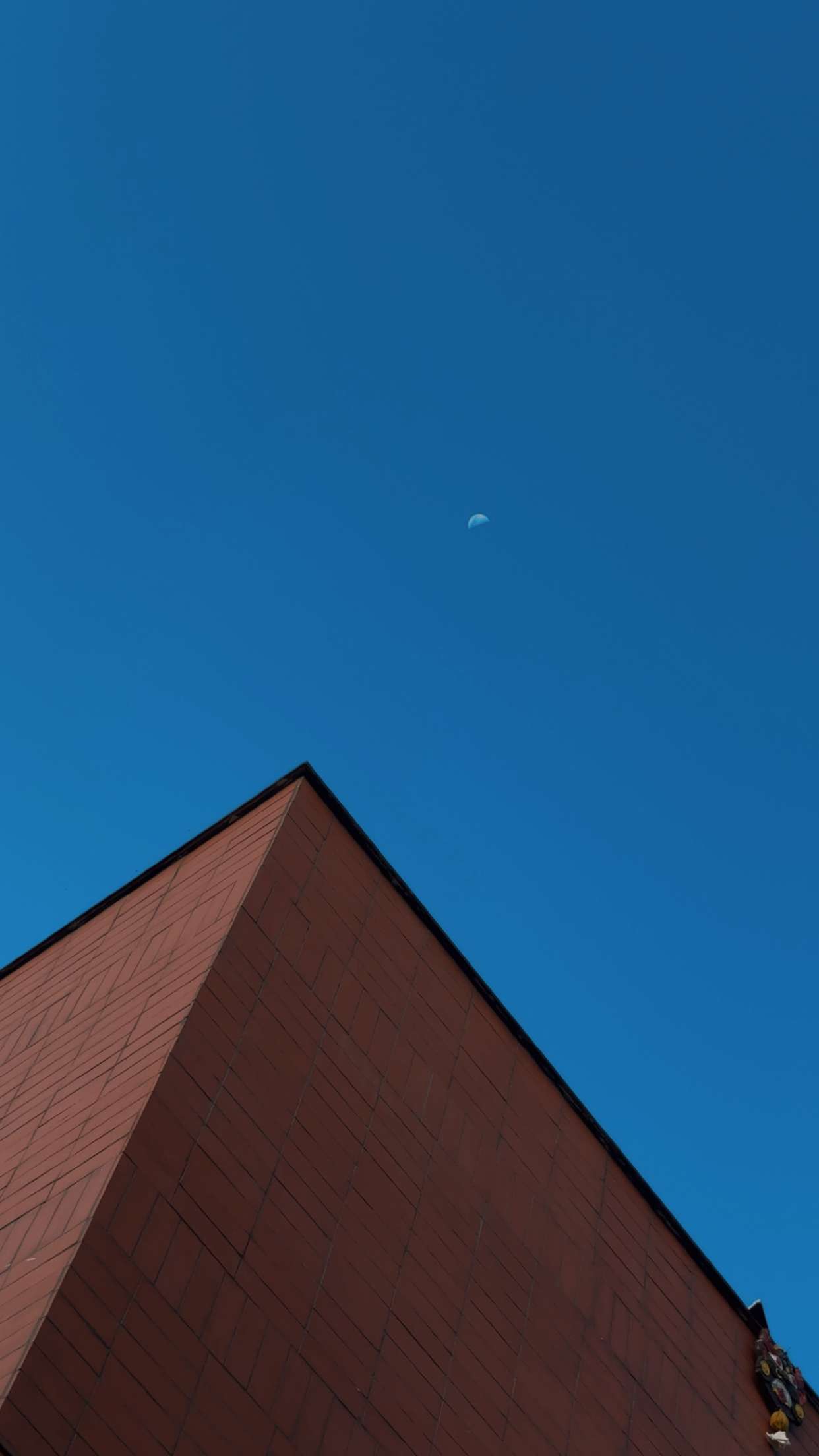 Pro 2